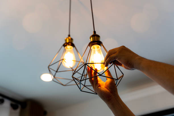Best Electric Panel Repair  in La Huerta, NM