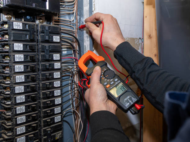 Best Home Electrical Repair  in La Huerta, NM