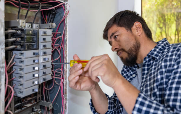 Best Electrical System Inspection  in La Huerta, NM
